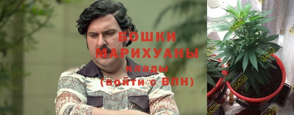 индика Заволжск