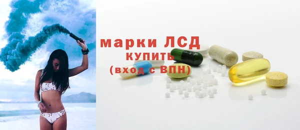 индика Заволжск
