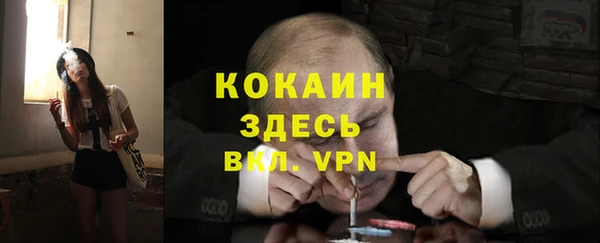 индика Заволжск