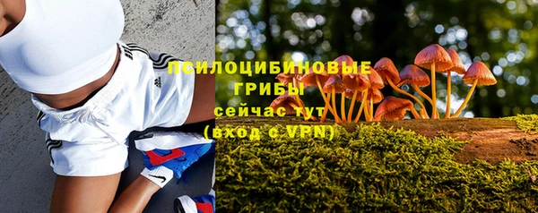 кокаин Заводоуковск
