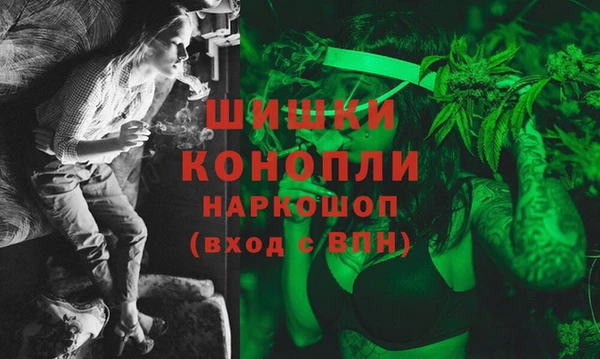 индика Заволжск