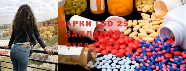 индика Заволжск
