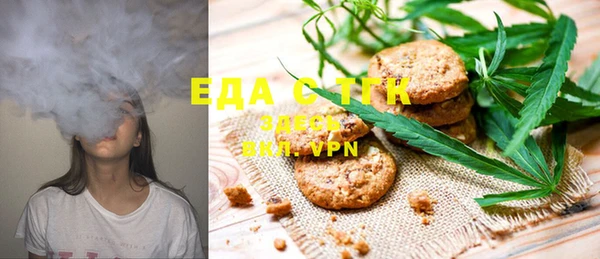 индика Заволжск