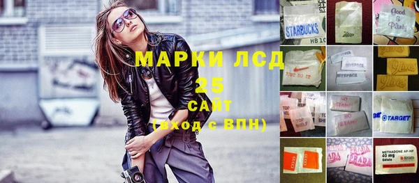 индика Заволжск