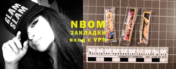 индика Заволжск