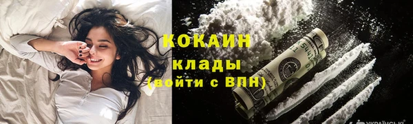 индика Заволжск